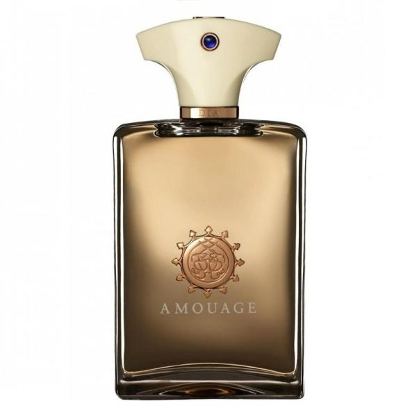 Amouage Dia For  Men Edp 100ml - Parfum barbati 0