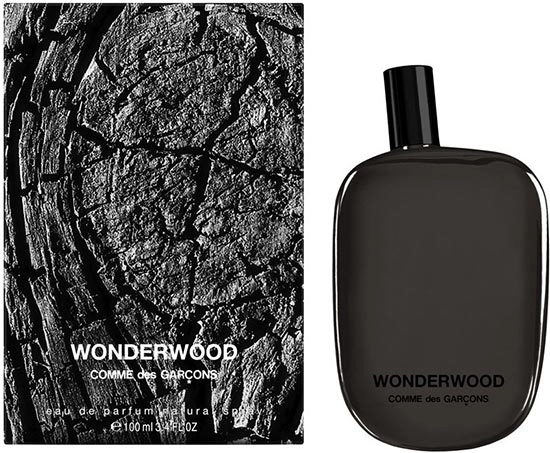 Comme Des Garcons Wonderwood Edp 100 Ml - Parfum dama - Parfum barbati 0