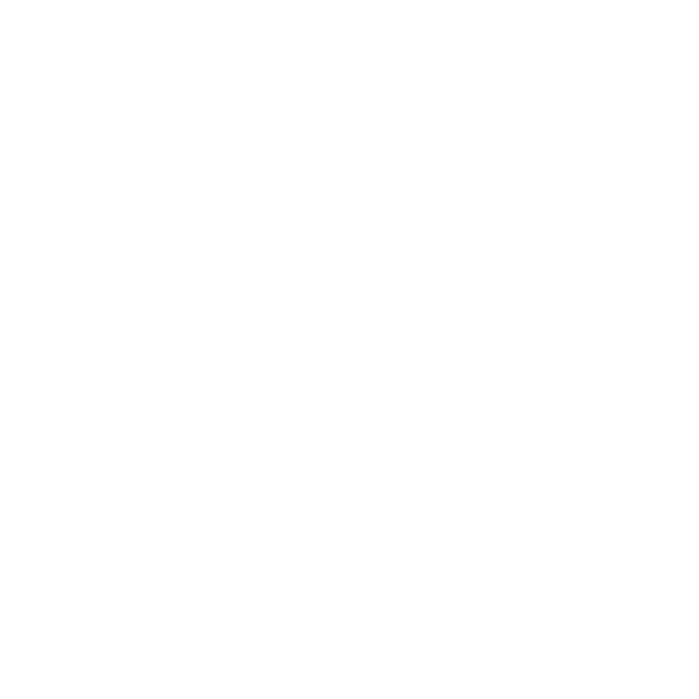 logo lightDIPLOMATIC